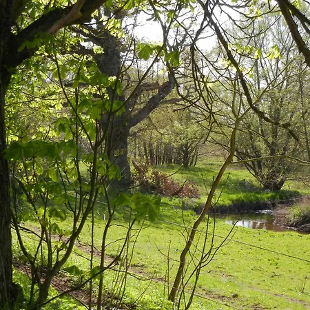 Historic Place At Gelskov Estate * Ringe