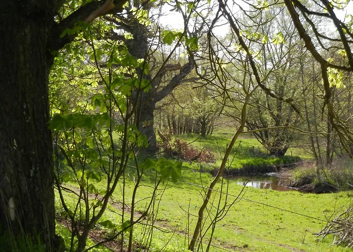 Historic Place At Gelskov Estate * Ringe